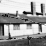 Jumătate de zi la Auschwitz…