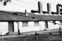 Jumătate de zi la Auschwitz…